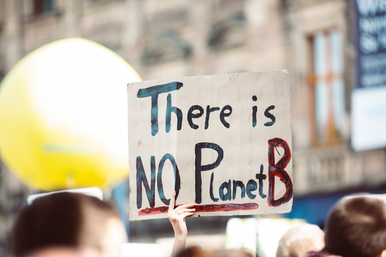 about-us Protest sign at climate change rally reading 'There is no Planet B'.