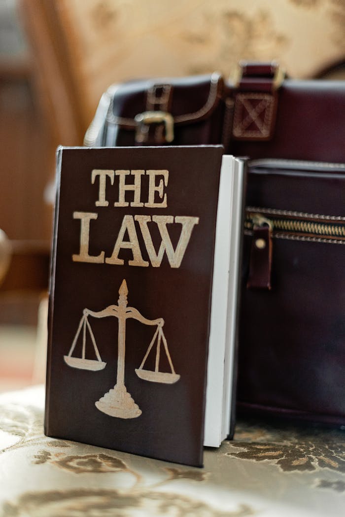 services-02 Close-up of a law book titled 'The Law' beside a leather briefcase.